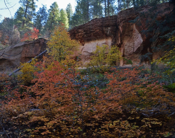 hiking Oak Creek Canyon with fall foliage